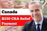 Canada $250 CRA Relief Payment: Eligibility Criteria & Key Payout Dates